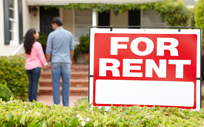 Advice & Resources for Renters